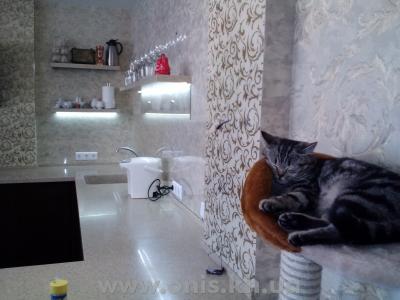 Фартук из стекла пр-т Тракторостроителей