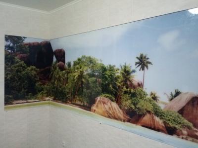 Фартук из стекла с. Русская Лозовая