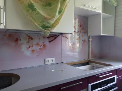 Фартук из стекла ул. Рудика